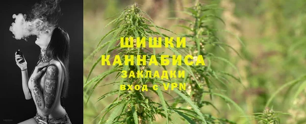 дживик Богданович