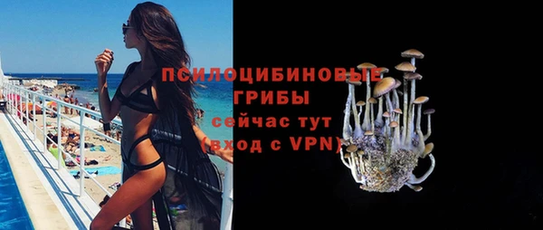 дживик Богданович