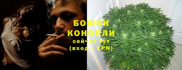 дживик Богданович