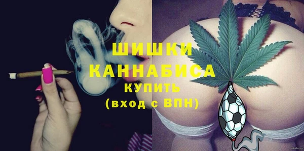 mdpv Белокуриха