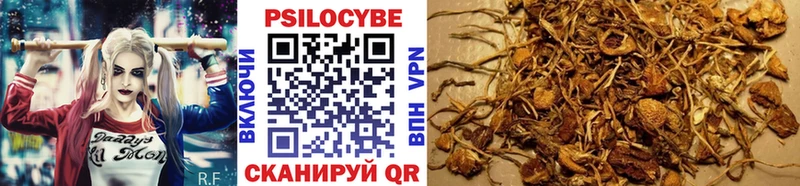 Купить закладки  Лесной  Псилоцибиновые грибы мицелий 